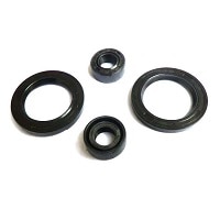 Oil Seals